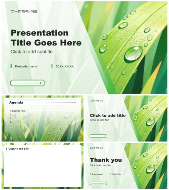 绿色简约风二十四节气白露文化习俗PPT主题模板