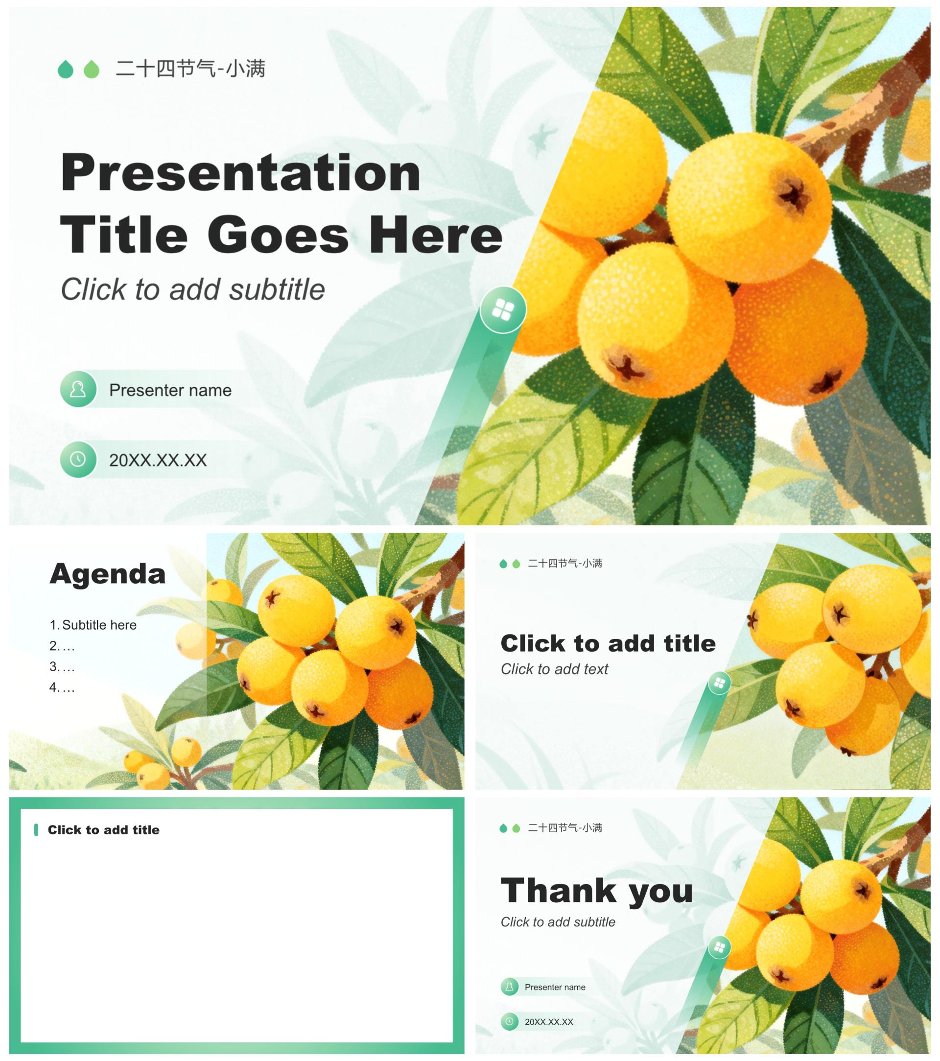 绿色清新简约风二十四节气小满习俗科普PPT主题模板