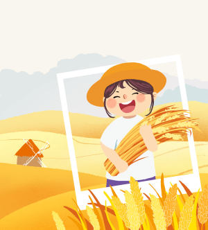 农产品粮食农民丰收稻田插画素材