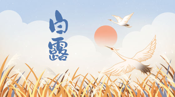 白露仙鹤芦苇横板背景