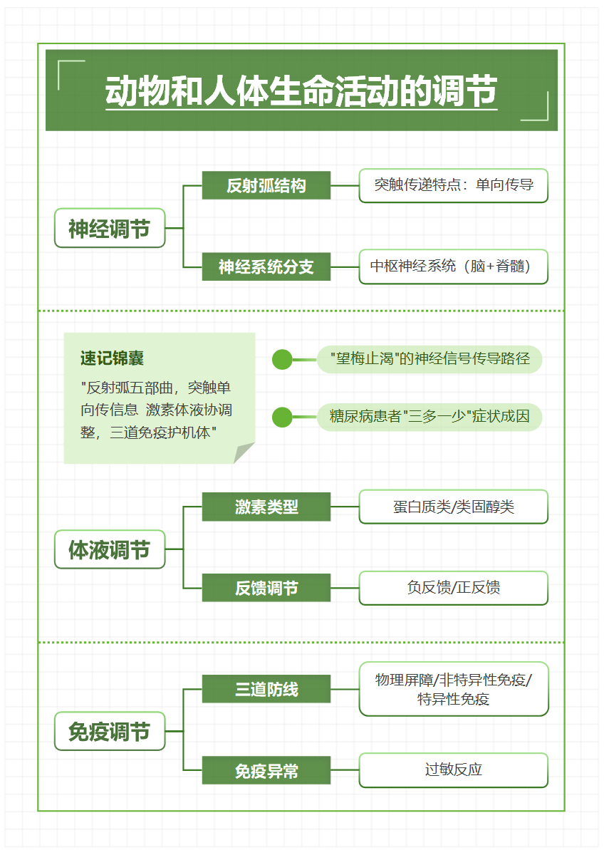 学习笔记-高中生物绿色简约word模板