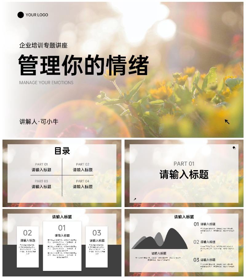 企业情绪管理主题讲座PPT模板