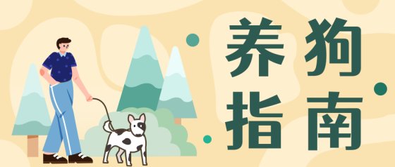 黄色养狗指南插画公众号头图
