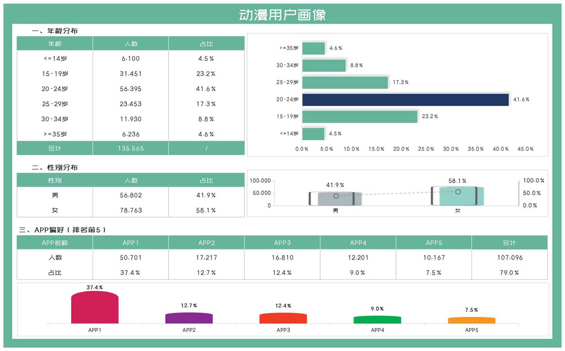 绿色APP动漫用户画像汇总分析Excel模板