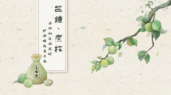 国风水墨青梅芒种时节背景插画