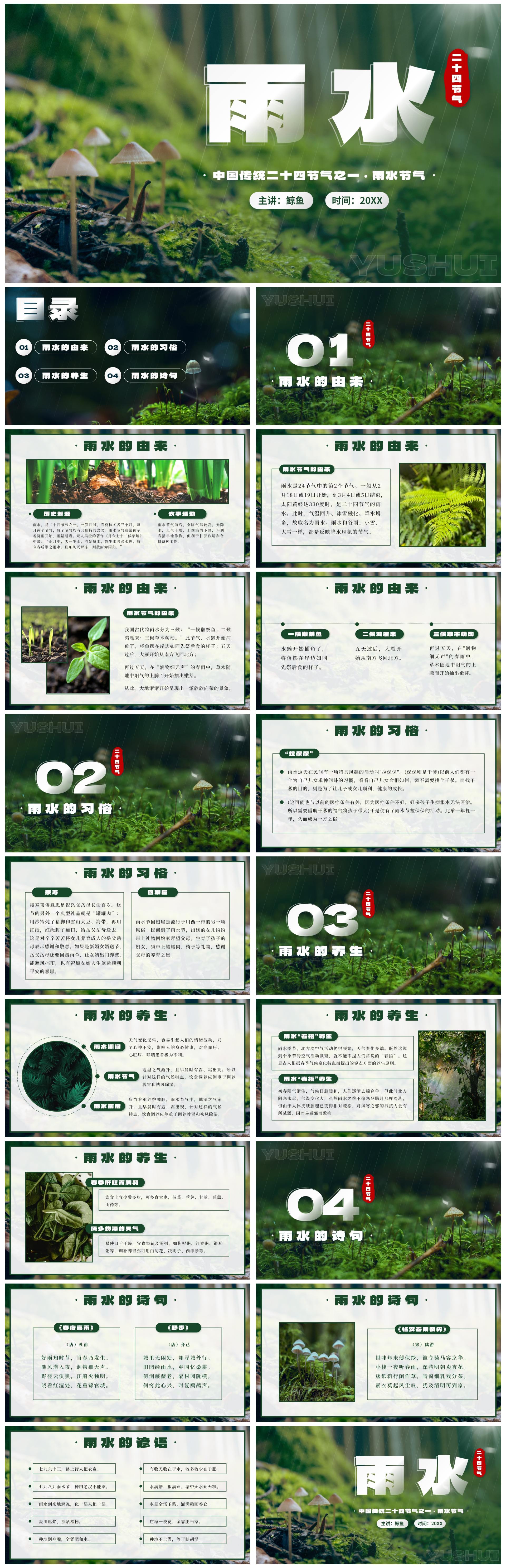 绿色实景森林二十四节气雨水节气带内容PPT模板