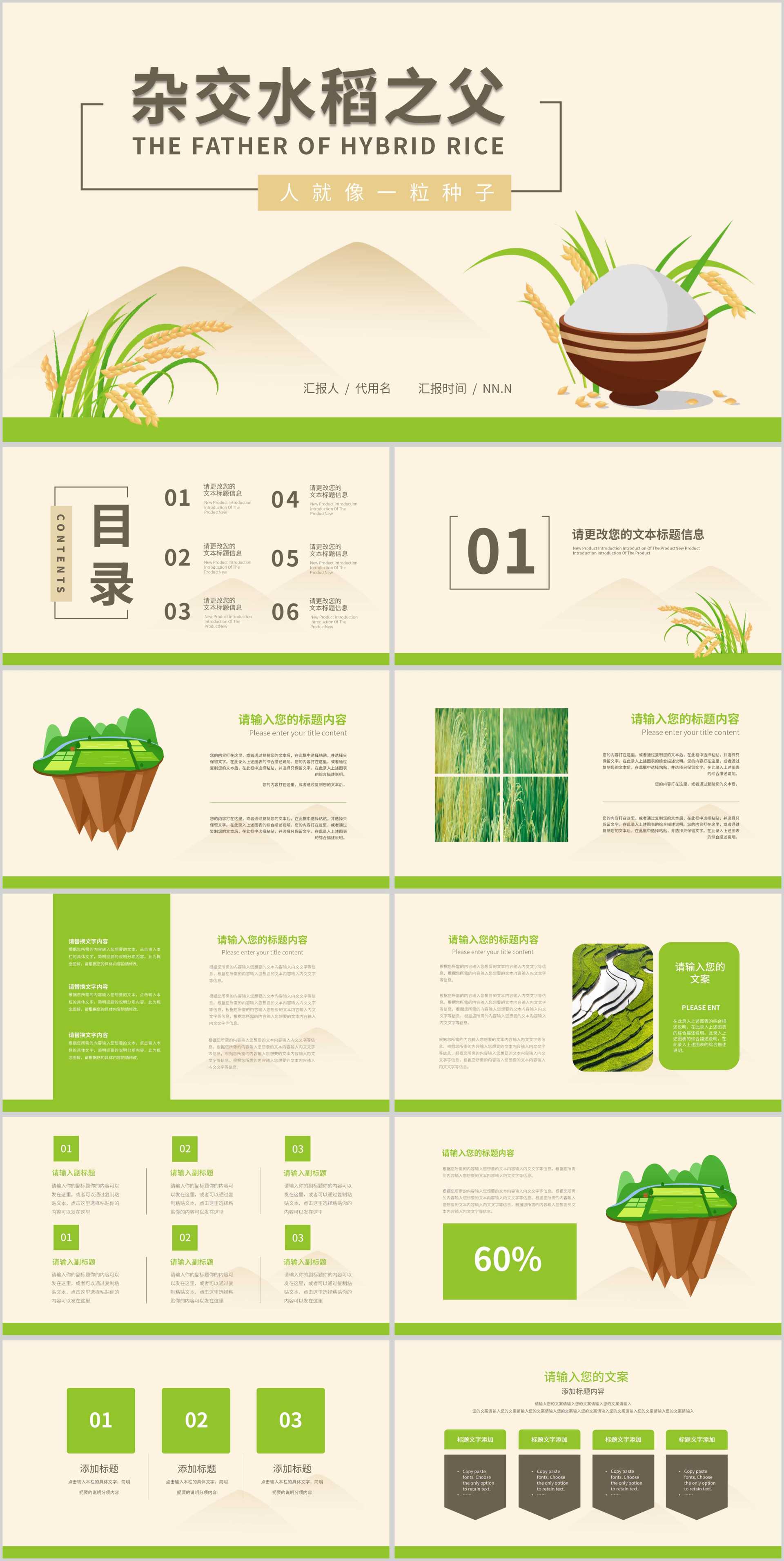 黄色插画风水稻粮食教育PPT模板