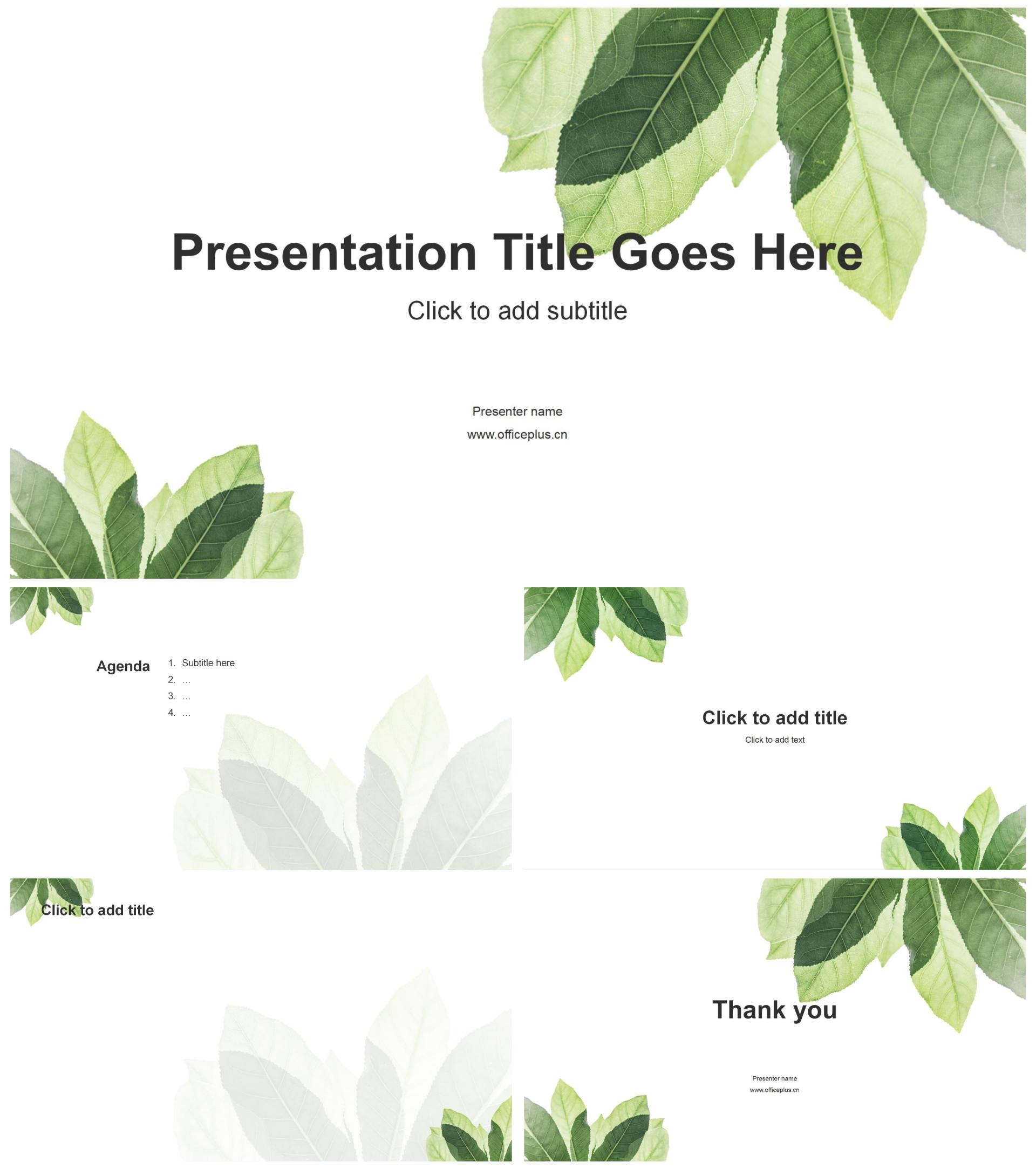 小清新绿叶自我介绍PPT主题