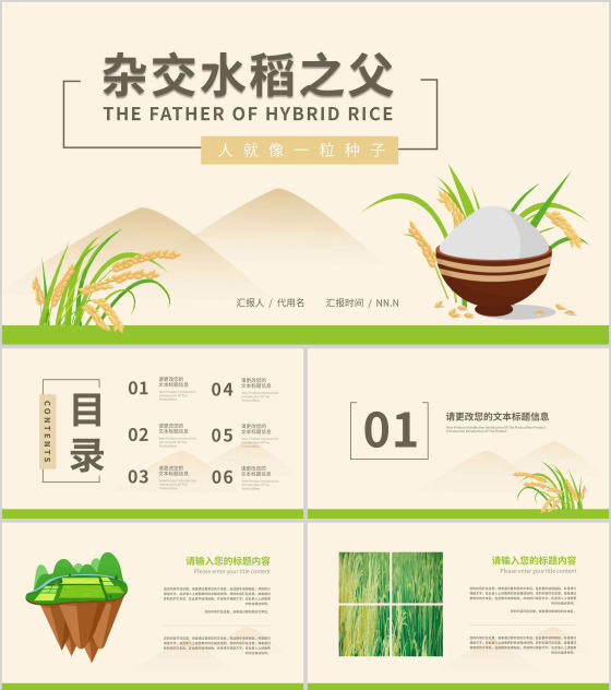 黄色插画风水稻粮食教育PPT模板