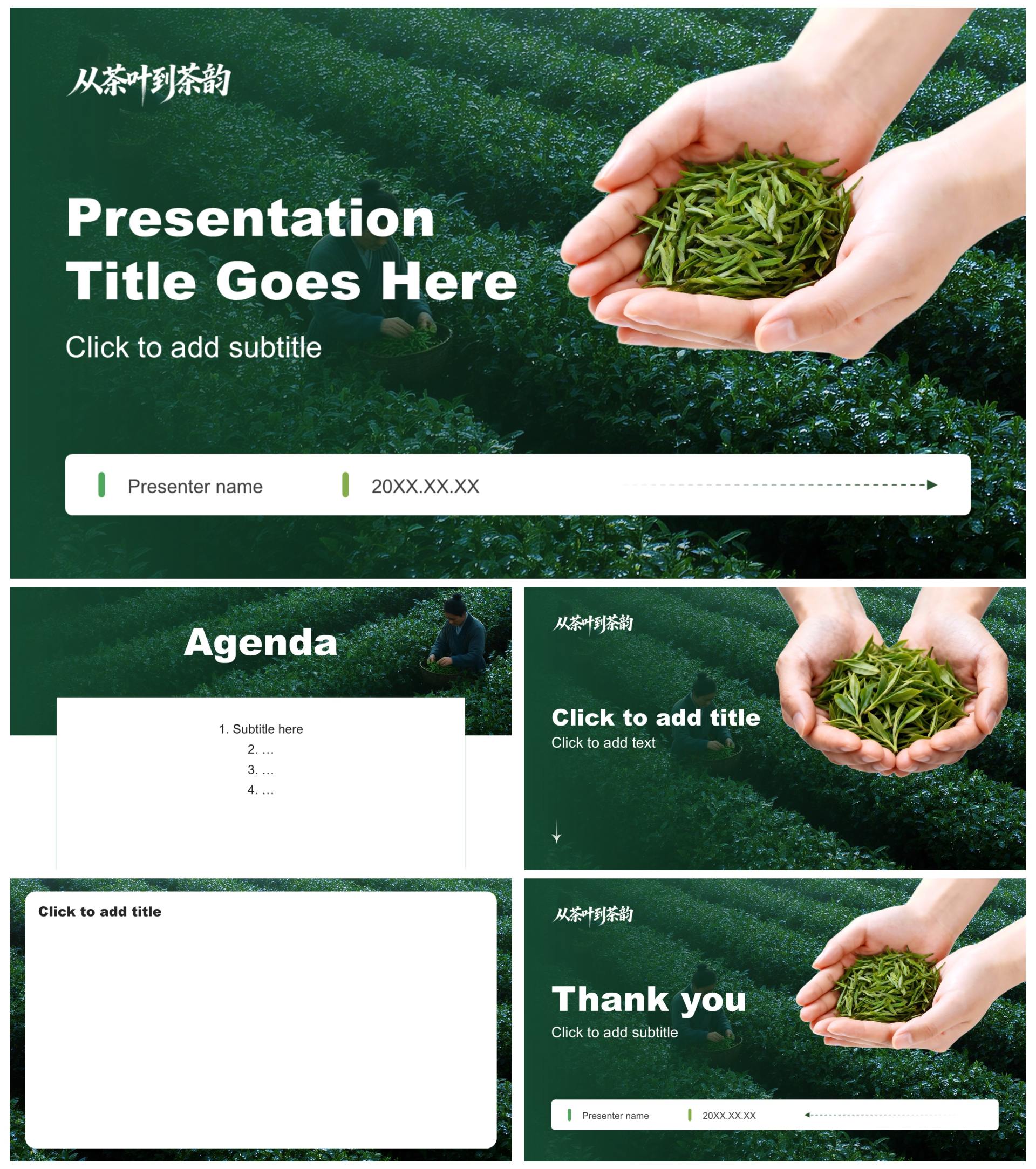 绿色简约实景传统文化茶道知识普及教育PPT主题模板