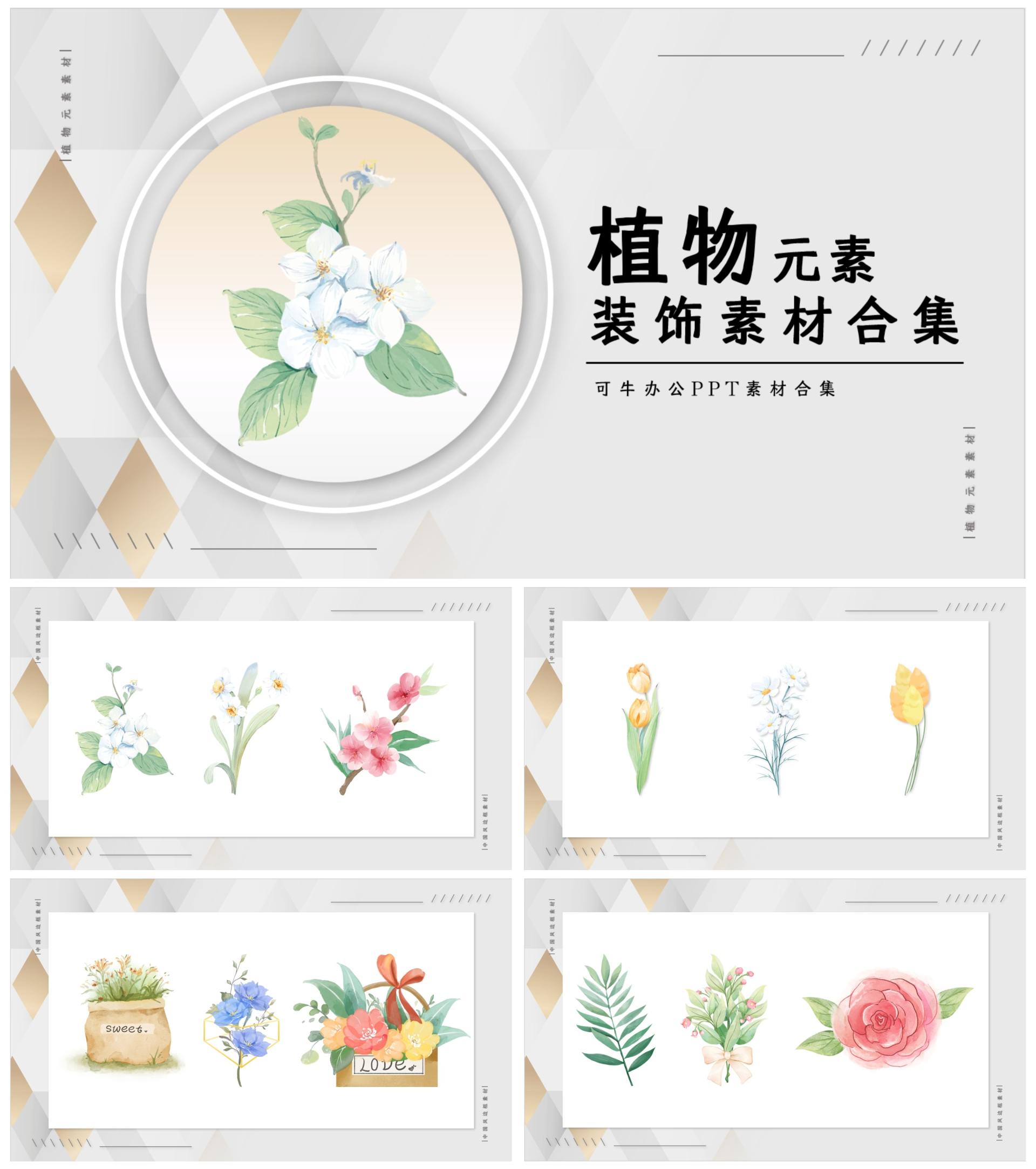 植物元素素材合集PPT模板