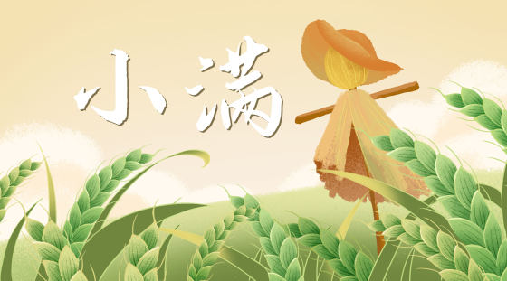 小满节气稻田稻草人背景