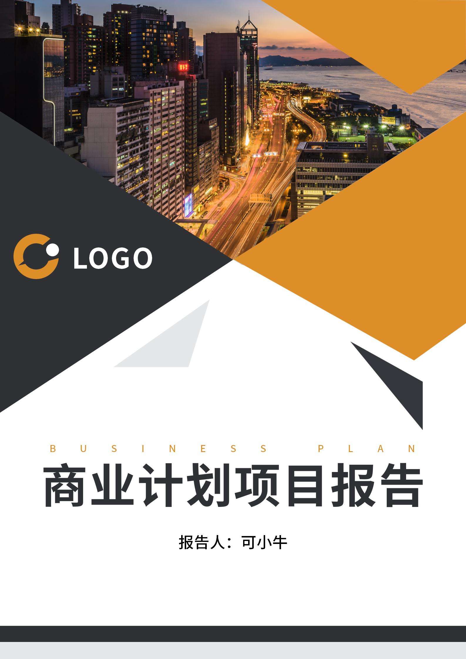 商业计划项目报告word模板