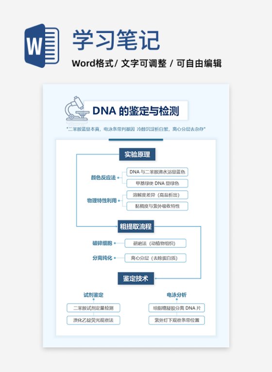 学习笔记-高中生物蓝色简约word模板