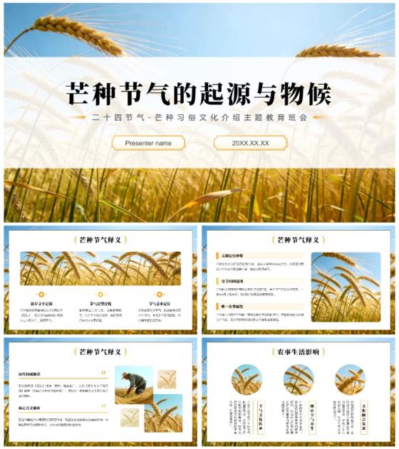 黄色麦田实景二十四节气芒种习俗主题班会PPT模板