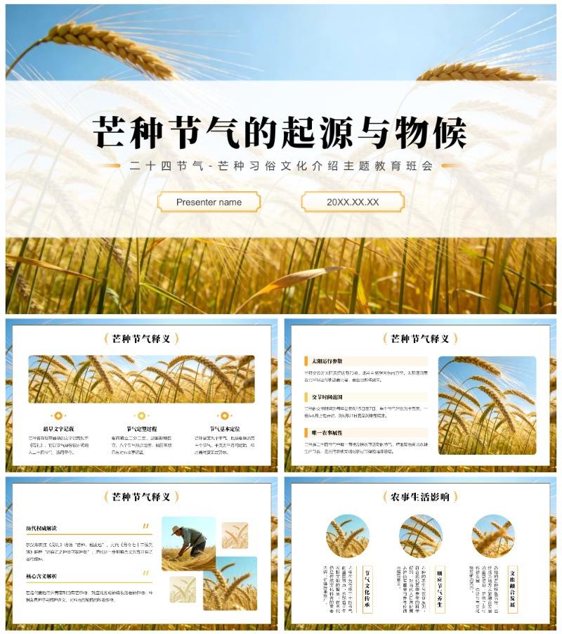 黄色麦田实景二十四节气芒种习俗主题班会PPT模板