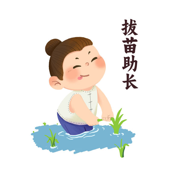 拔苗助长成语故事插画