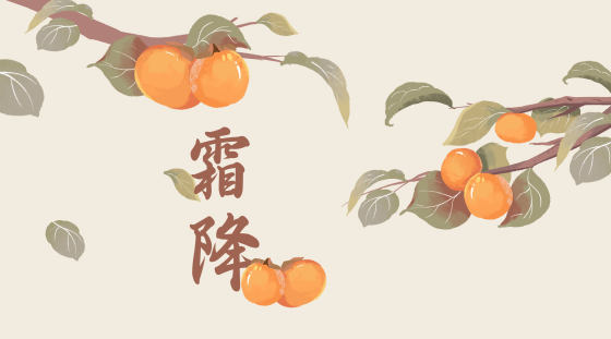 节气霜降柿子横板背景