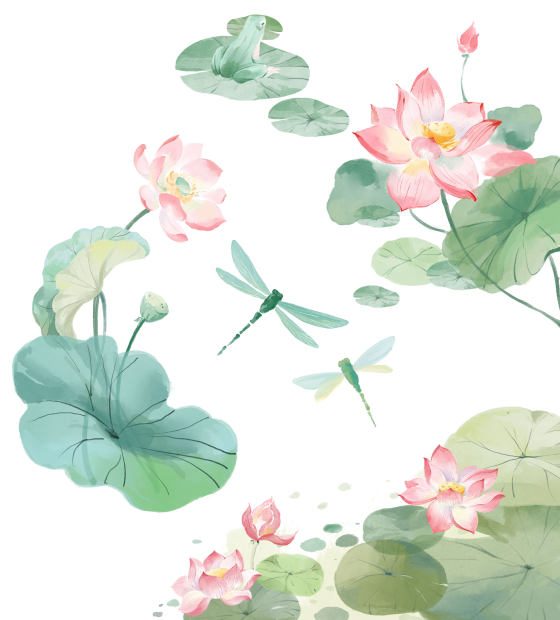 夏天荷花插画素材