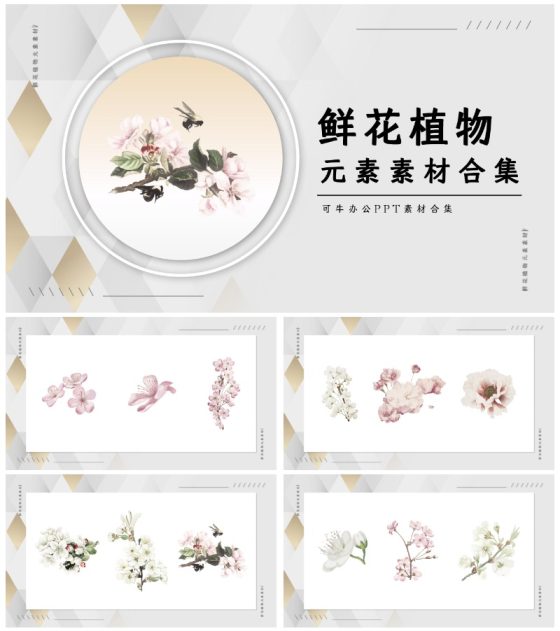 鲜花植物素材合集PPT模板