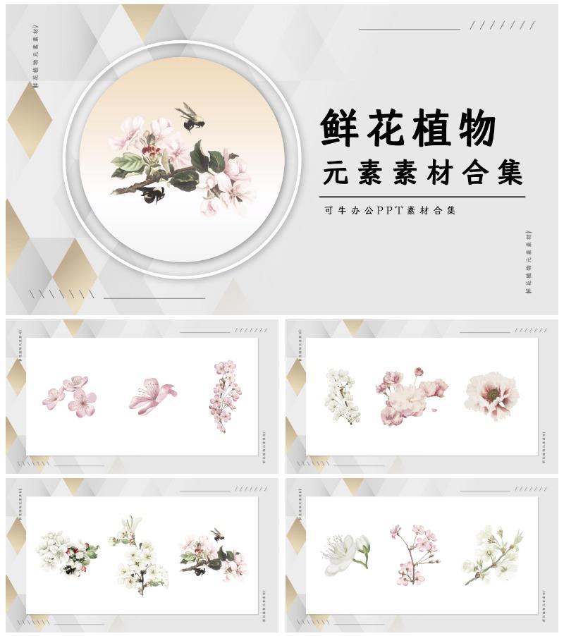 鲜花植物素材合集PPT模板