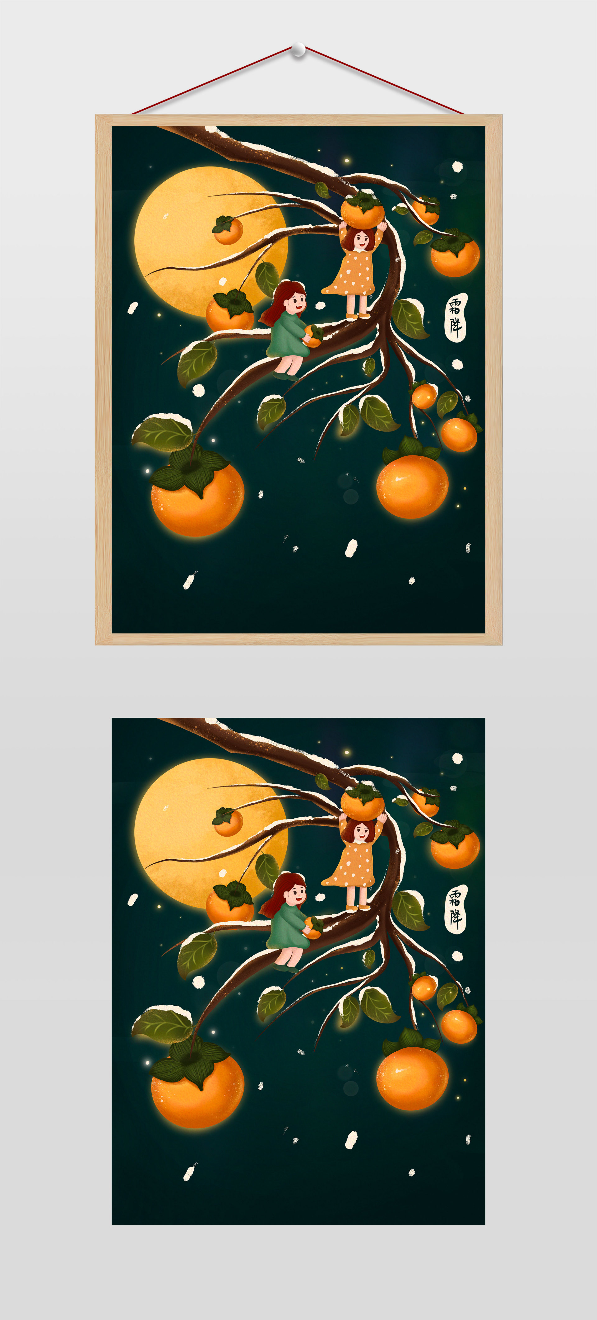 霜降摘柿子插画
