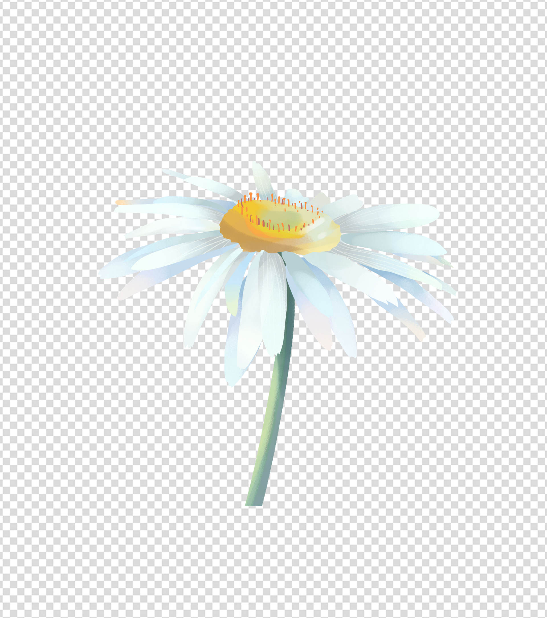 2362x2362pt_ppt手绘小清新雏菊