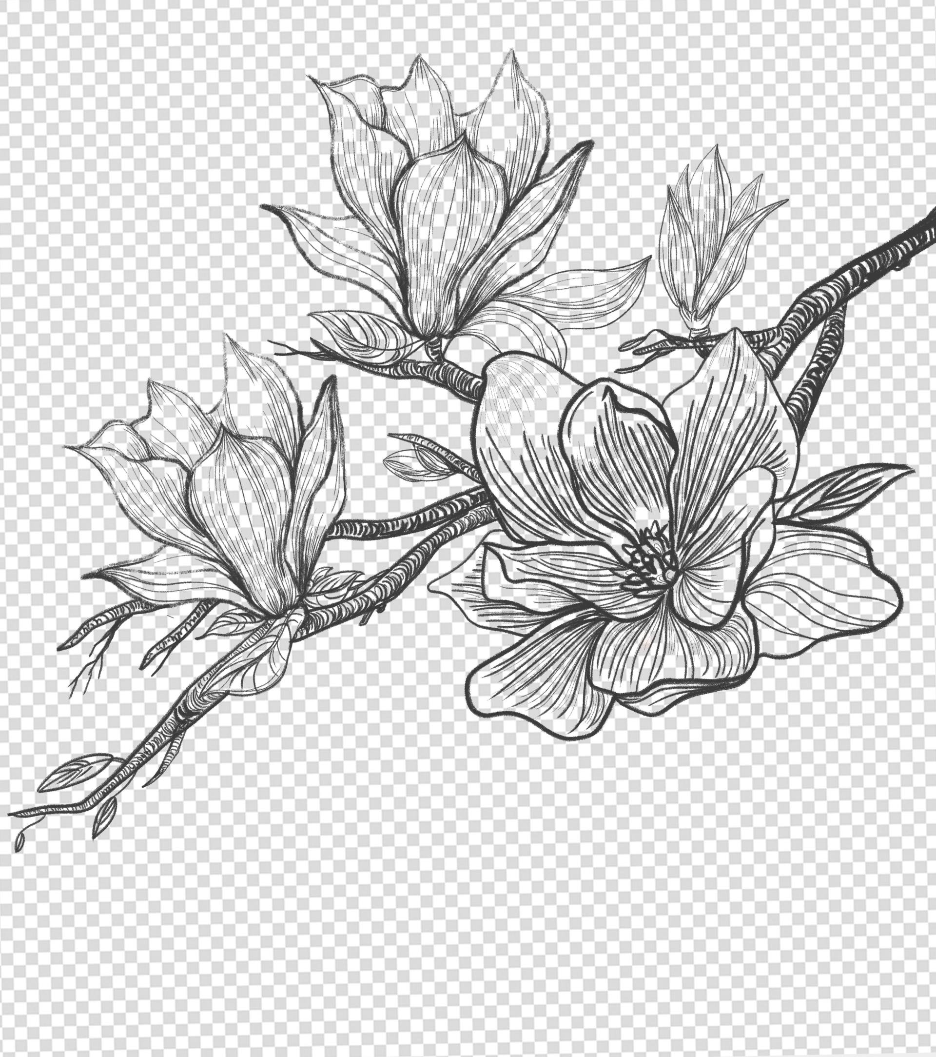 海棠花简笔画元素