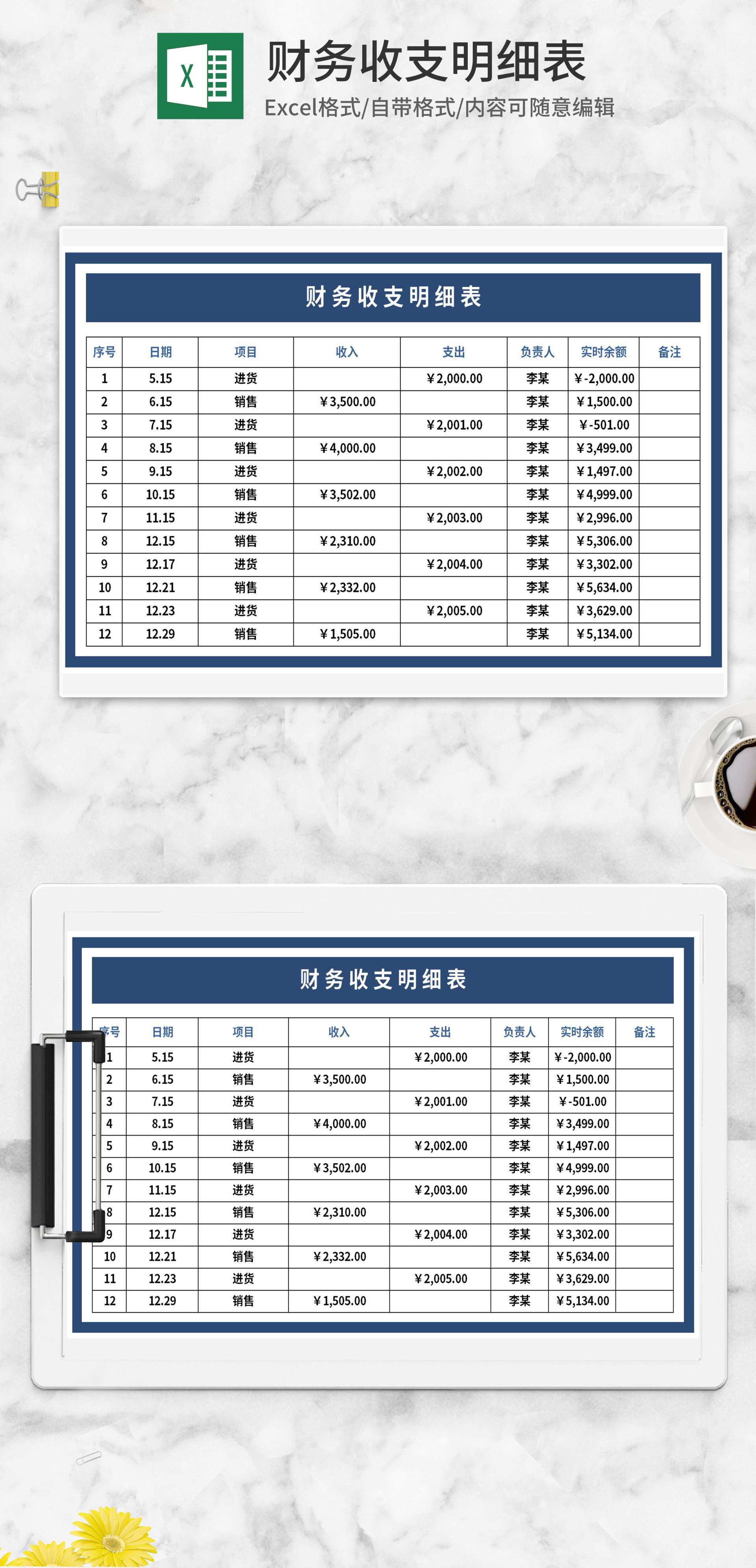 财务项目收支明细表Excel模板