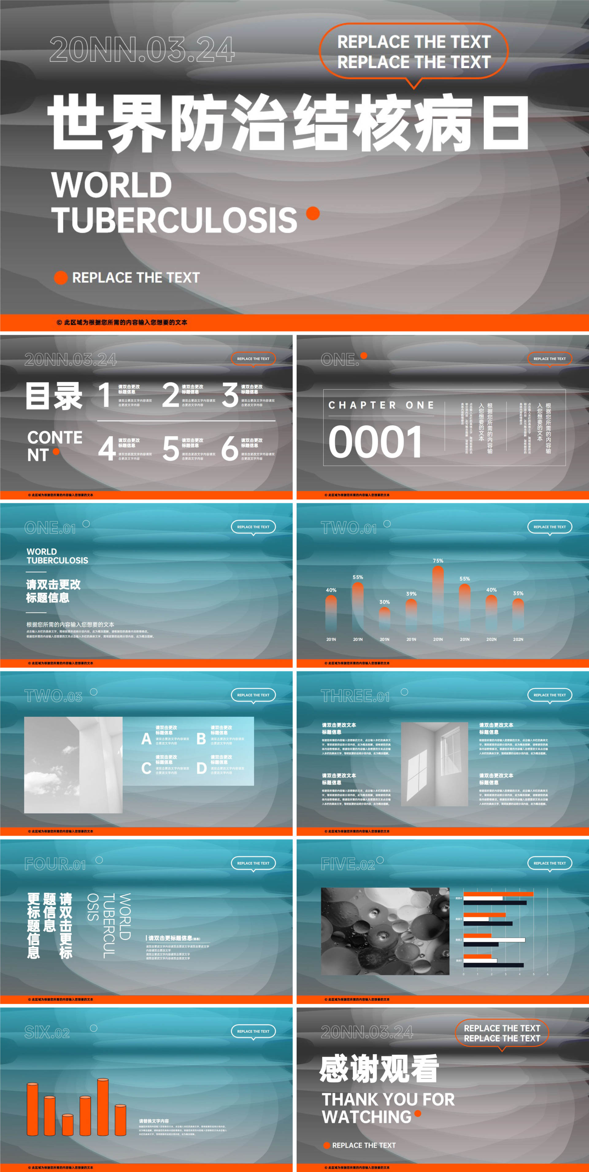 灰色简约大气风世界防治结核病日模版PPT模板