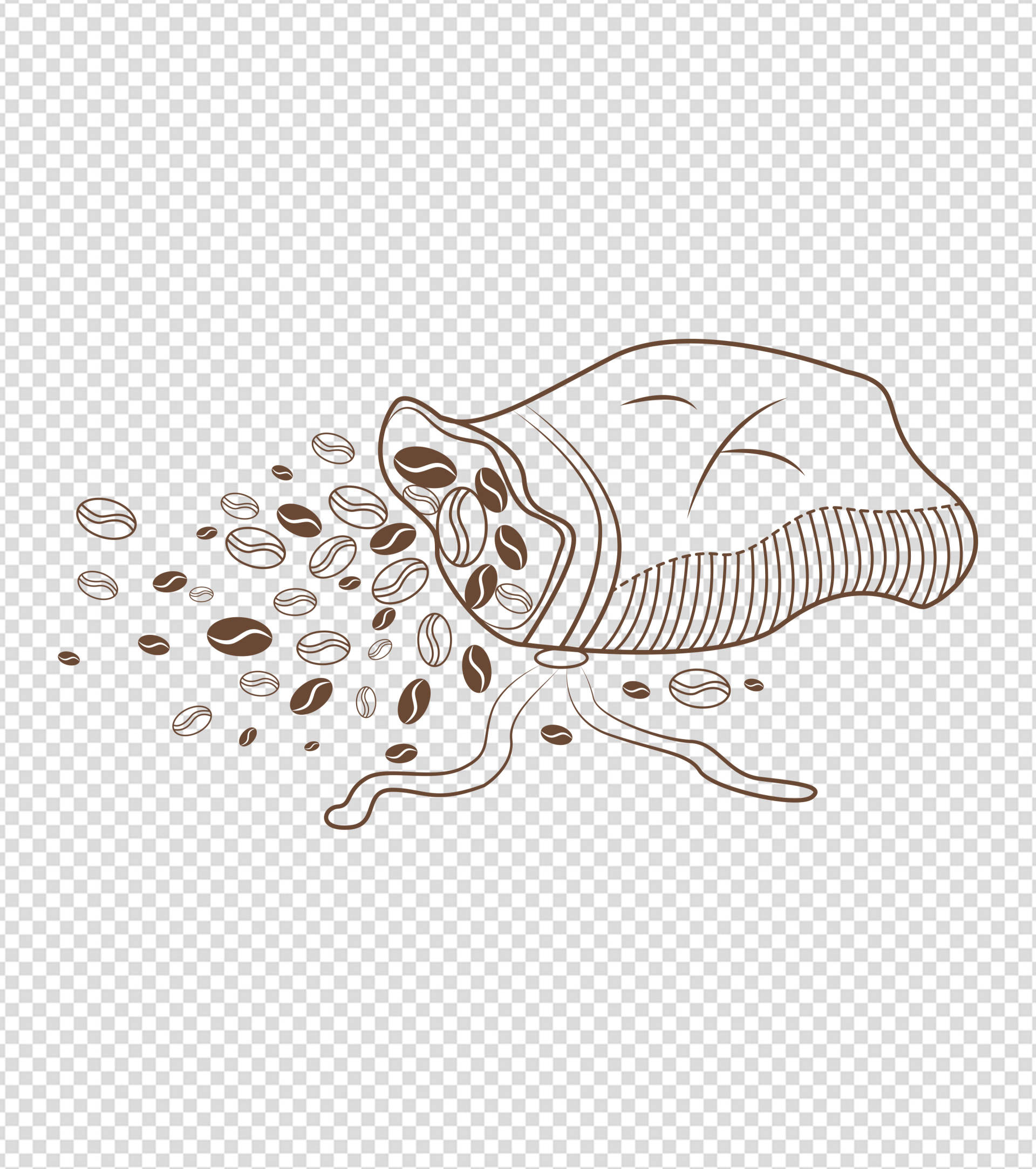 棕色咖啡豆简笔画