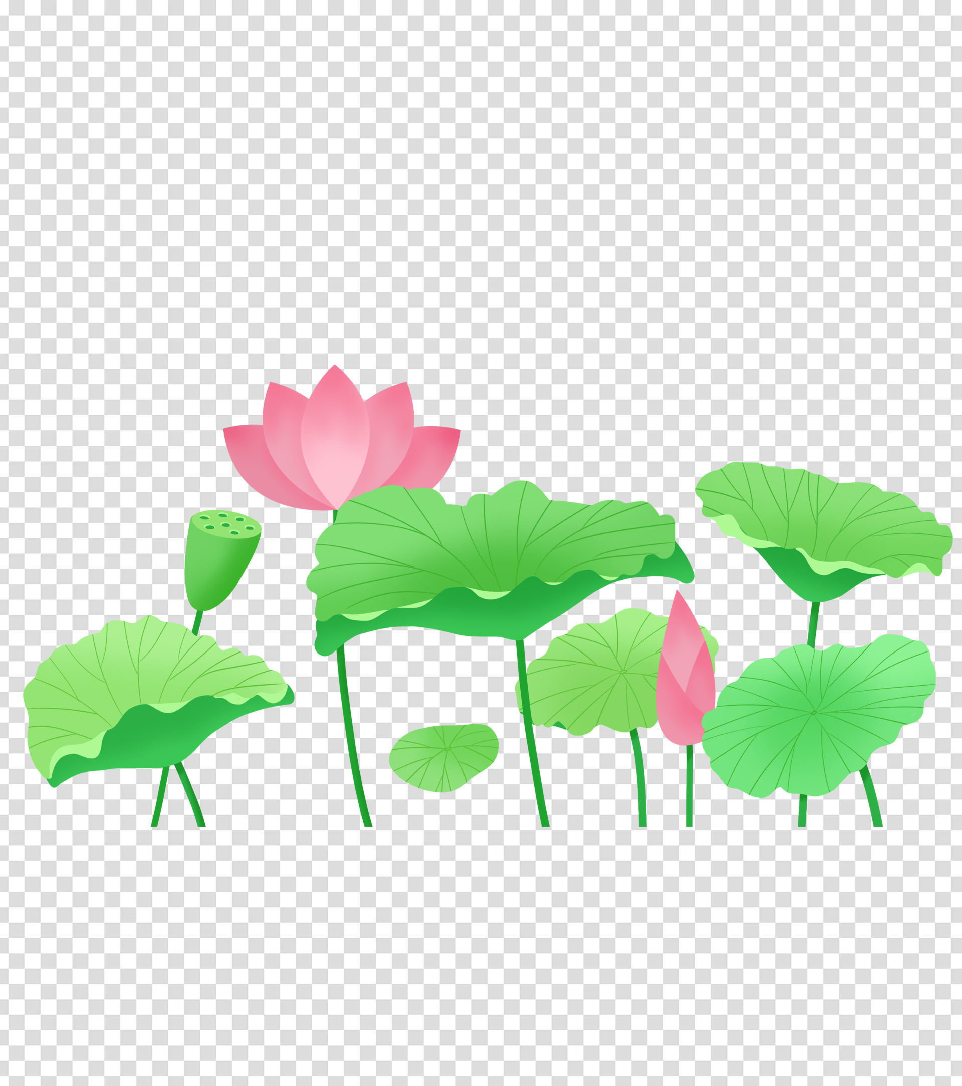 绿色卡通手绘荷叶荷花元素