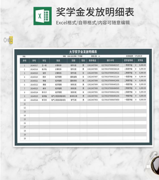 大学奖学金发放明细表Excel模板