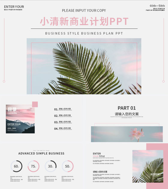粉色椰风商业计划PPT模板