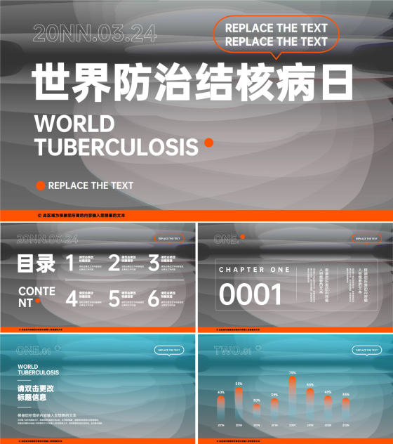 灰色简约大气风世界防治结核病日模版PPT模板