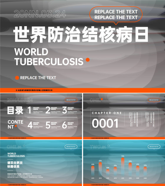 灰色简约大气风世界防治结核病日模版PPT模板