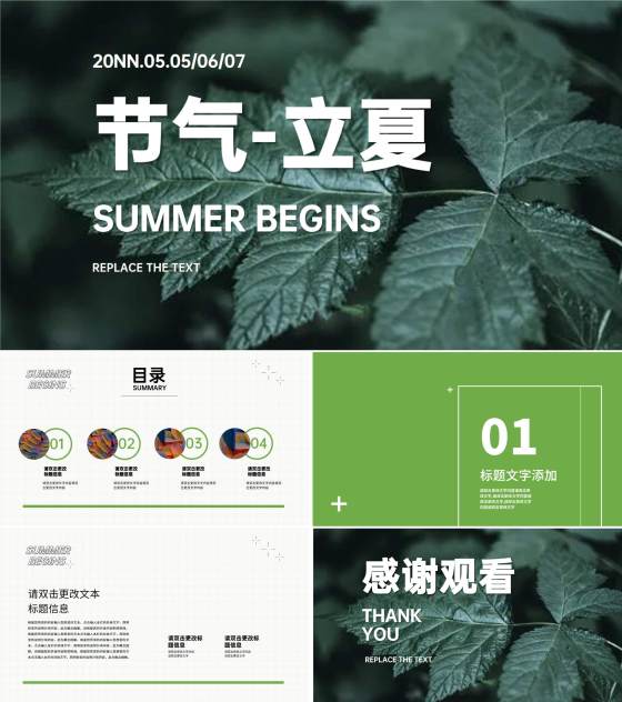 绿色画册风绿植立夏节气PPT模板
