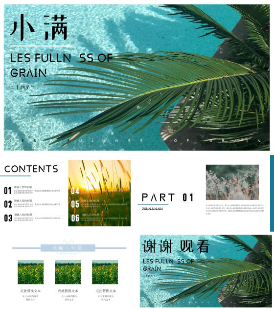 蓝色画册风清爽小满PPT模板