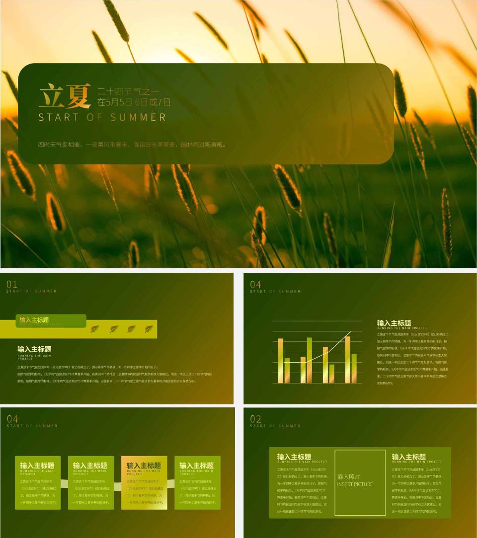 绿色小麦二十四节气立夏PPT模板