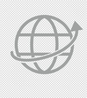 灰色网络地球图标