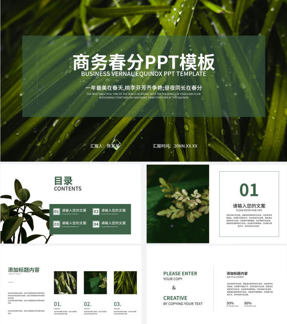 绿色清新树叶春分二十四节气PPT模板