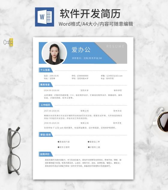 蓝色蚂蚁线软件开发简历word模板