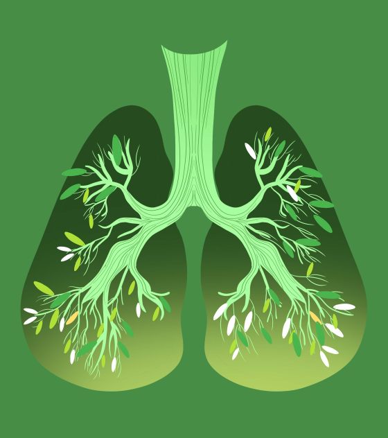 绿色肺部健康元素