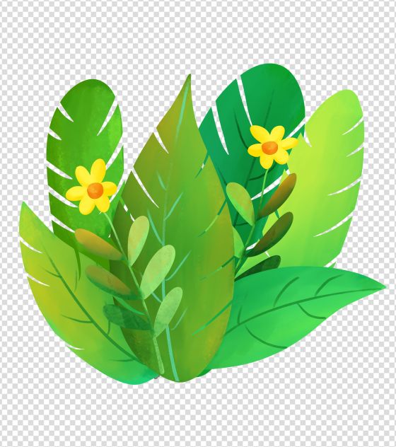 绿叶花朵植物元素