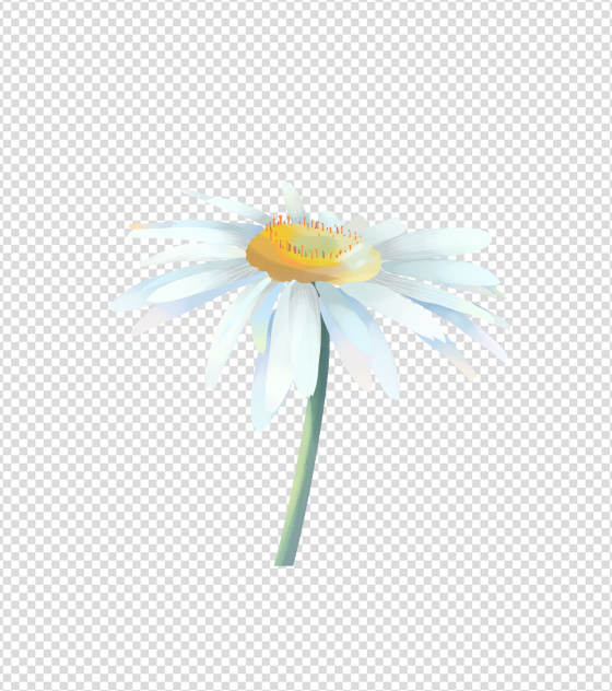 2362x2362pt_ppt手绘小清新雏菊