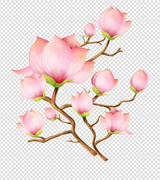 4000x4000px_小清新ppt元素原创粉色水彩花朵枝