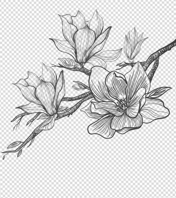 海棠花简笔画元素