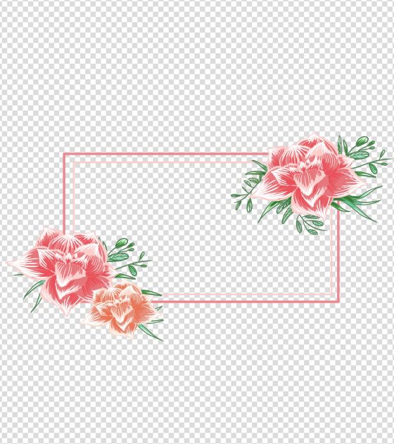 粉色富贵月季花边框